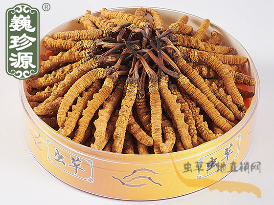 ^ڶxĲݣ2/^xxĲ
