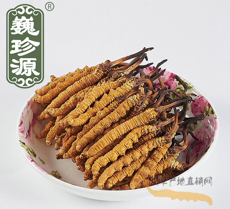 冬蟲夏草是蟲還是草,冬蟲夏草是植物還是動(dòng)物蟲子,冬蟲夏草與冬蟲草的區(qū)別,蟲草與冬蟲夏草有區(qū)別什么區(qū)別